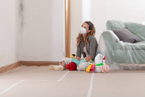 Reliable Mold Testing contractor in Vienna, MD by WQB Mold Removal